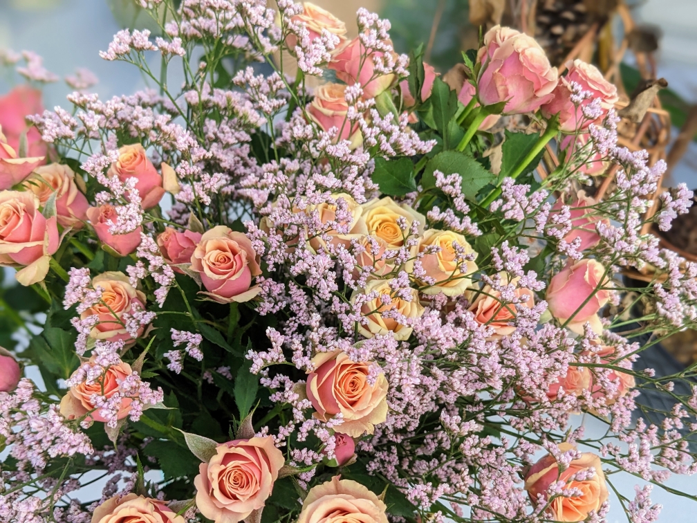 ClematisGinster gartencenter rahnsdorf